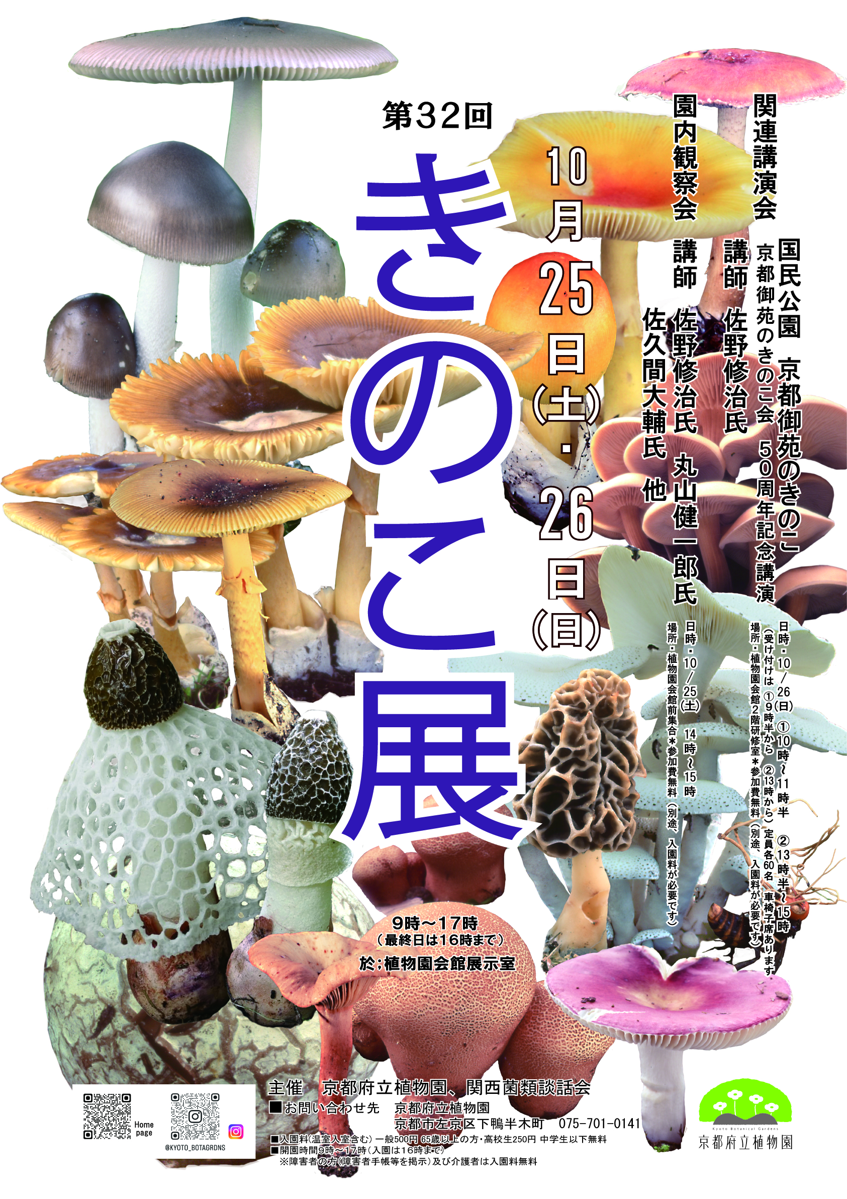 @きのこ 第32回きのこ展 | 関西菌類談話会HP